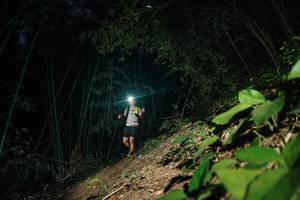 BIB: 
                            <button type="button" onclick="openModal(28142219)" class="btn btn-primary btn-sm float-right btn-popup" data-toggle="modal" data-target=".modal-high-quality">
                        <i class="fas fa-shopping-cart"></i> Add to Cart
                    </button>
                                            <button type="button" onclick="isThisMe(28142219, true)" class="btn btn-success btn-sm float-right btn-popup btn-isme hidden" data-toggle="tooltip" data-placement="bottom" title="นี่คือรูปของคุณใช่ไหม คลิกที่นี่เพื่อเอาเข้าอัลบั้ม">
                        <i class="fas fa-plus"></i> Add to album
                    </button>
                    <button type="button" onclick="isThisMe(28142219, false)" class="btn btn-warning btn-sm float-right btn-popup btn-isnotme hidden">
                        <i class="fas fa-ban"></i> Remove from album
                    </button>